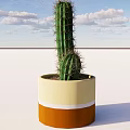 Potted Cactus Plant in Yellow and Orange Pot Against Blue Sky with Clouds