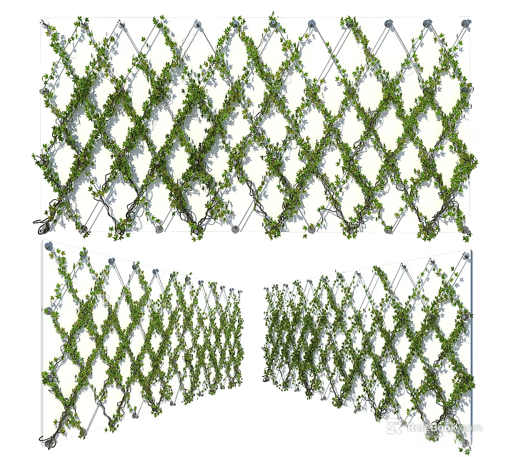 Decorative Lattice Trellis Fence Covered With Green Climbing Vines For Outdoor Garden 3d model 