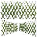 Decorative Lattice Trellis Fence Covered With Green Climbing Vines For Outdoor Garden