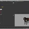 Brown And White St Bernard Dog Standing With Collar In Neutral Background
