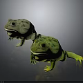 Two Vibrant Green And Yellow Frogs With Smooth Skin Sitting On Dark Background