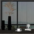 Modern Tabletop Aquatic Plants in Black Vase with Sheer Curtain Window and Sea View