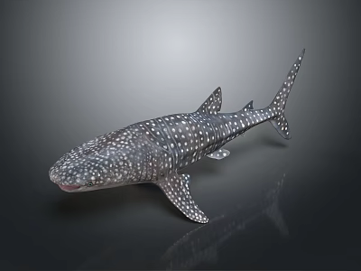 Detailed Whale Shark 3D Rendering With Spotted Skin Pattern And Lifelike Underwater Creature Features 3d model