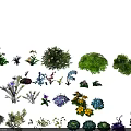 Various Colorful Garden Flowers And Different Green Plants Collection For Decoration