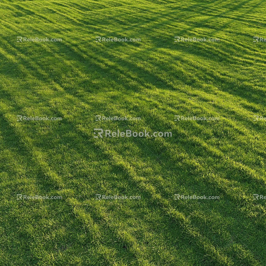 Modern Lawn Green Grass Lawn 3d model