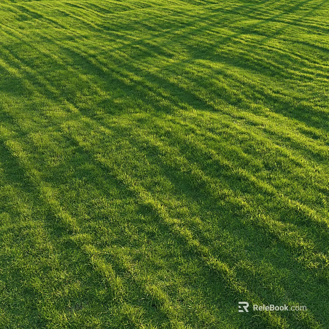 Lush Well Trimmed Green Grass Lawn With Striped Patterns Under Bright Sunlight 3d model 