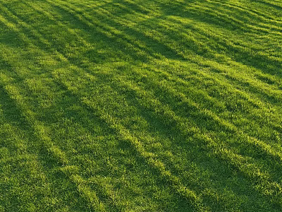 Lush Well Trimmed Green Grass Lawn With Striped Patterns Under Bright Sunlight 3d model