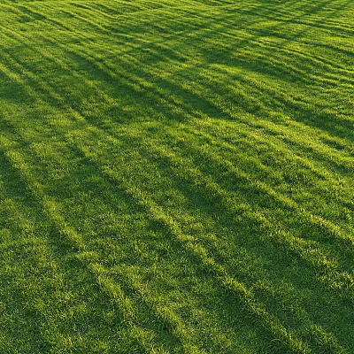 Lush Well Trimmed Green Grass Lawn With Striped Patterns Under Bright Sunlight 3d model
