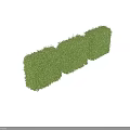 Three Green Cubed Shrubs With Neat Foliage For Outdoor Garden Design