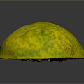 Fresh Ripe Yellow Mango Fruit with Natural Skin Texture on Dark Gray Background