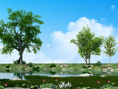 Garden Landscape With Blue Sky White Clouds Large Trees Grassland Pond Stones And Lotus Flowers 3d model