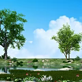 Garden Landscape With Blue Sky White Clouds Large Trees Grassland Pond Stones And Lotus Flowers