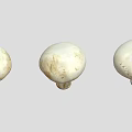 Three White Mushroom Plants with Smooth Caps and Short Stems on Light Background