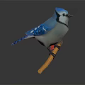 Detailed Blue Jay Bird Sculpture With White Belly And Black Eye Stripe Perched On Branch