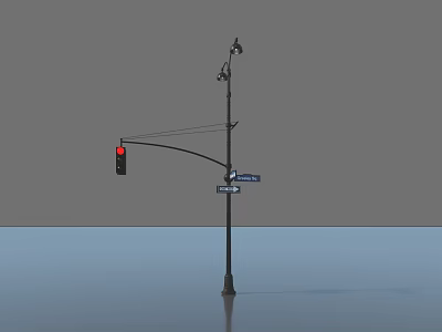Functional Outdoor Light Pole With Street Lamp Traffic Light And Sign 3d model