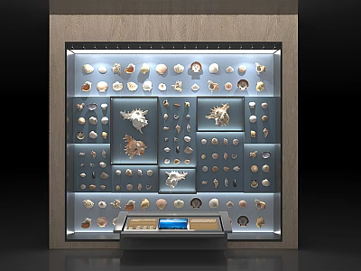 Modern Jewelry Display Shelf With Illuminated Glass Case Showcasing Rings Necklaces And Accessories 3d model
