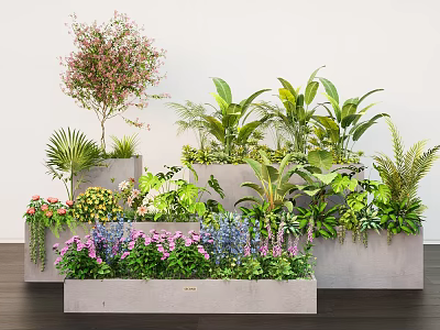 Layered Mixed Plant Arrangement In Concrete Planters With Flowering Shrubs Ferns And Green Foliage 3d model