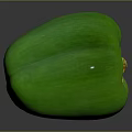 Fresh Green Bell Pepper Nutritious Healthy Vegetable Great For Salads And Cooking