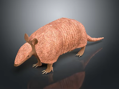 Realistic 3D Armadillo Character Model with Scaly Armor Brown Color and Detailed Texture 3d model