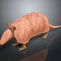 Realistic 3D Armadillo Character Model with Scaly Armor Brown Color and Detailed Texture