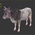 Gray And White Cow With Horns Standing On Reflective Surface 3d model