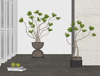 Modern potted plant combination 3d model