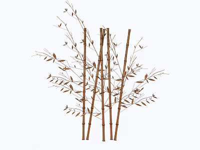 Natural Style Decorative Ornament Set with Bamboo Stems and Leaves for Home Decoration 3d model