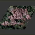 Pink Terrain Topographic Model With Green Trees And Sloped Hillside Features