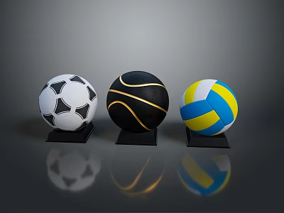 Professional Sports Equipment Display With Soccer Basketball Volleyball Balls On Black Stands 3d model