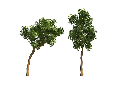 Two Arbor Trees Isolated On White Background With Brown Trunks And Lush Green Foliage 3d model