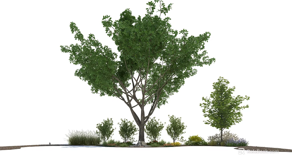 Tall Deciduous Tree with Lush Green Foliage Surrounded by Small Trees and Shrubs 3d model 