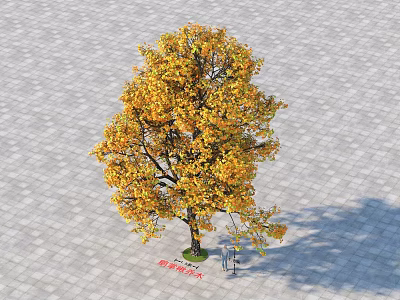 Golden Leaf Deciduous Tree Standing On Paved Stone Ground With Shadow 3d model