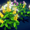 Lush Flowering Plants With Colorful Blooms And Green Leaves Against Dark Background