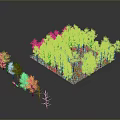 Green Forest Landscape With Dense Trees Lush Green Grass And Surrounding Trees In Square Area