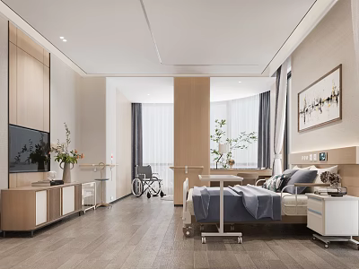 Modern Hotel Room With Bed TV Wheelchair Wooden Furniture Curtains Artwork And Plants 3d model