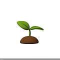 Healthy Green Seedling With Two Vibrant Leaves Growing From Brown Soil