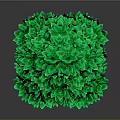 Cartoon Scene Of Green Flower Shaped Tree With Brown Trunk On Gray Background