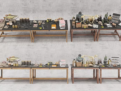 Various Display Tables With Fish Bottles Tools Books And Skeleton Models 3d model