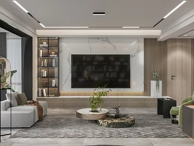 Modern Living Room Interior Design With Marble TV Wall Built-in Bookshelves Sofa Area Rug And Decorative Plants 3d model