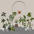 Indoor Potted Plants With Various Greenery And Stylish Planters For Home Decoration