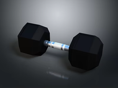 Black Hex Dumbbell With Silver Metal Handle For Home Gym Fitness Training 3d model