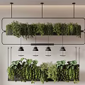 Stylish Indoor Hanging Basket Plants With Multiple Layers Metal Frame Green Foliage