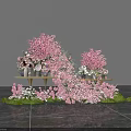 Pink Cherry Blossom Floral Display with Flower Bouquets Shelves and Green Grass