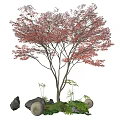 Vibrant Red Leaf Tree Garden Ornament With Stones Green Plants And Round Decorations