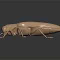 Modern beetles of the genus Giddinium Narrow Giddinium 3d model