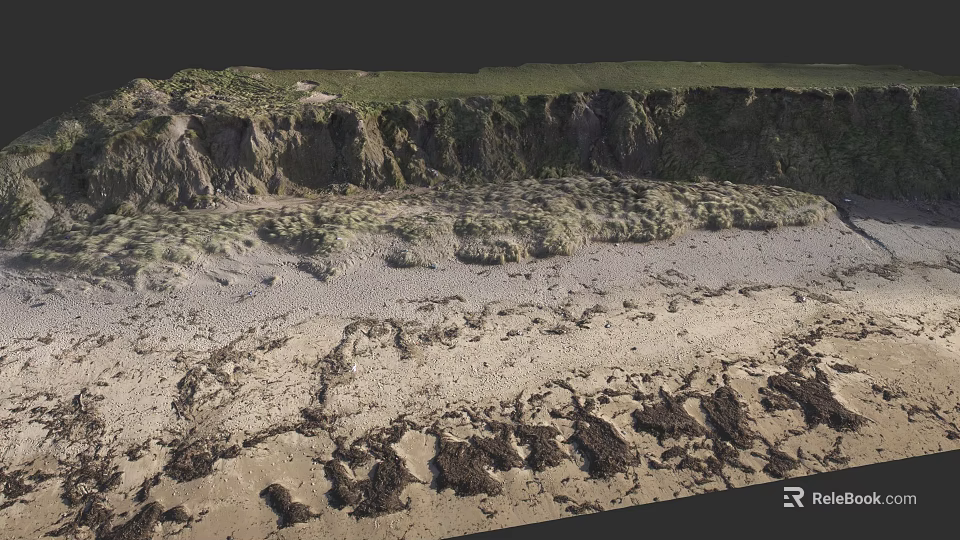 Waterfront Landscape With Sandy Shore Rocky Terrain And Green Vegetation 3d model 