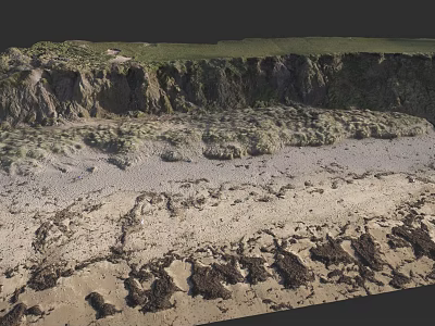 Waterfront Landscape With Sandy Shore Rocky Terrain And Green Vegetation 3d model