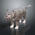 Modern Leopard Snow Leopard 3d model