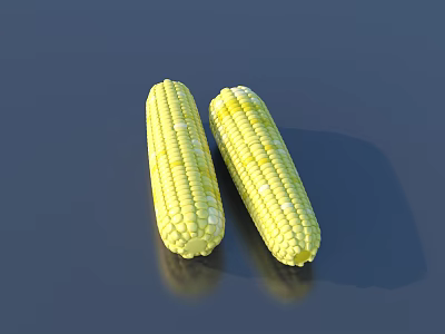 Fresh Yellow Corn Cobs on Dark Surface with Natural Lighting and Reflection 3d model