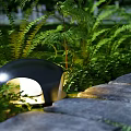 Illuminated Outdoor Light with Black Design Along Stone Path and Green Ferns